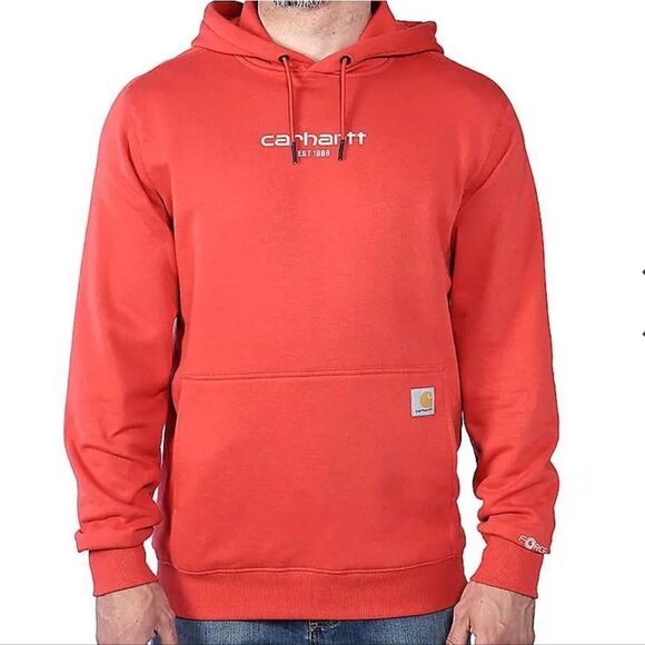 Carhartt Force Relaxed Fit Lightweight Logo Graphic Hoodie - Picture 4 of 6